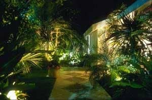 Landscape Lighting creates a colorful scene looking down a pathway