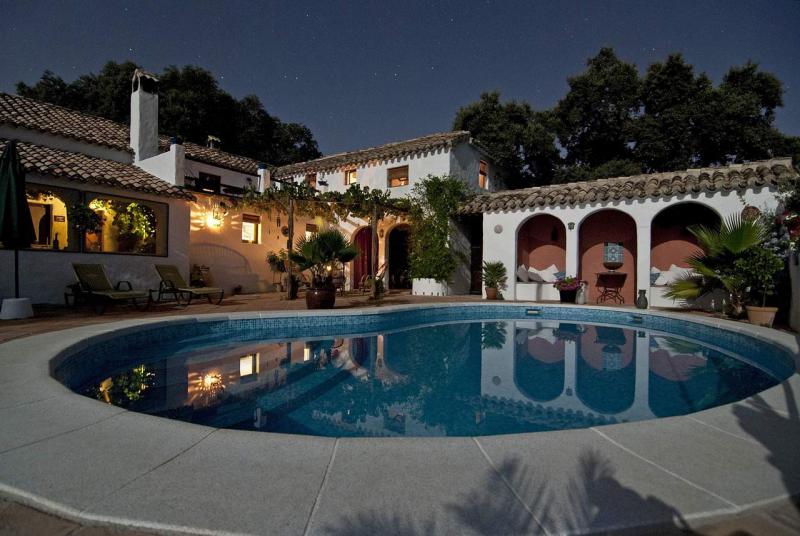 A designed lighting feature on the exterior wall is reflected in the pool