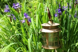 Exterior garden light surrounded by greenery and flowers.