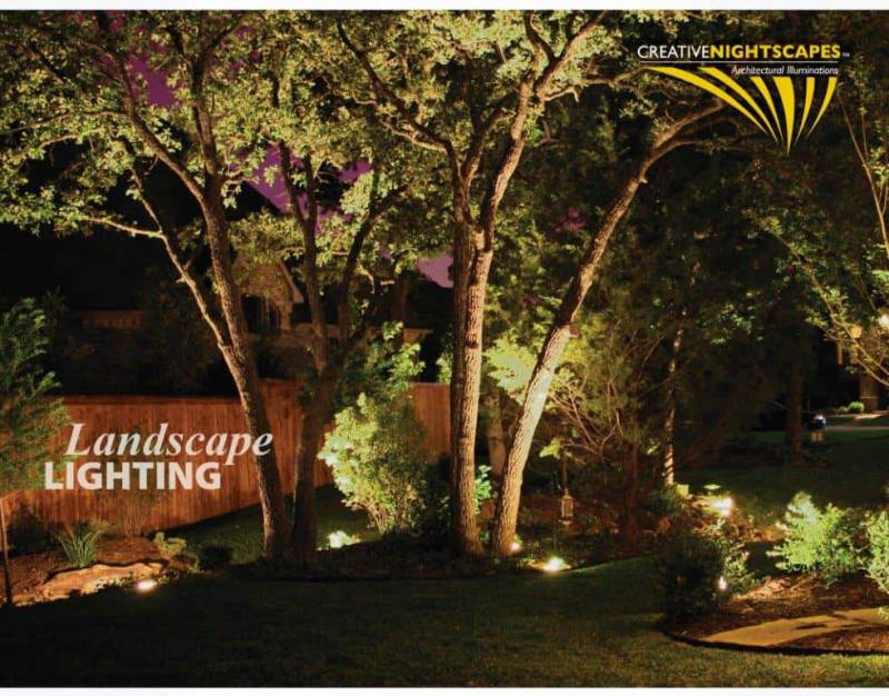 Landscaping features illuminated by bright outdoor lights