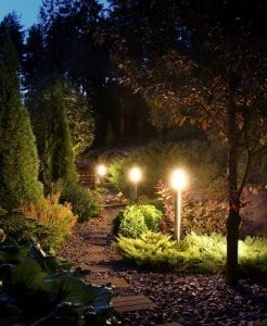 A pathway through lush landscaping is illuuminated by LED lighting