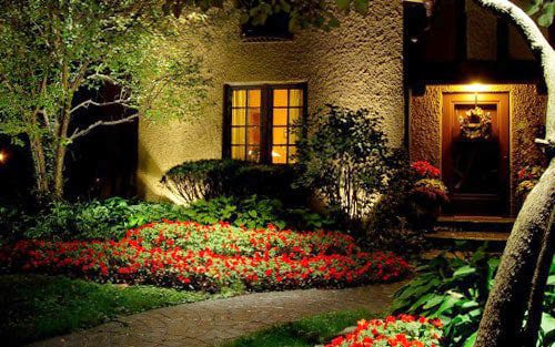 Colorful garden at night
