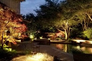 Well-lit trees surrounding backyard pool