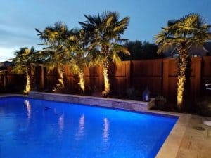Well-lit pool at dusk surround by palm trees and a privacy fence