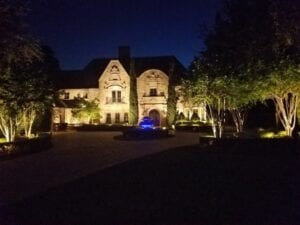 landscape lighting for trees and bushes