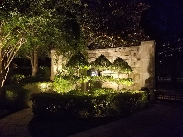 landscape lighting for trees and bushes